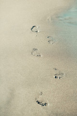 Adult human footprints on grey wet sandy beach
