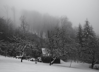 Lonely Wooden cabin in Winter Misty Morning