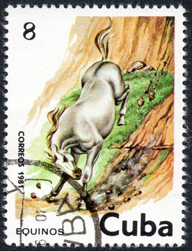 UKRAINE - CIRCA 2017: A stamp printed in Cuba, shows beautiful white horse, the series Horses, circa 1981