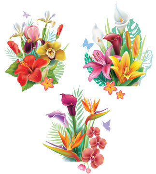 arrangements from tropical flowers