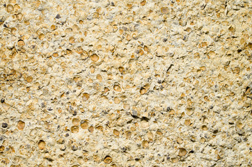 Sandstone with fossilized seashells closeup