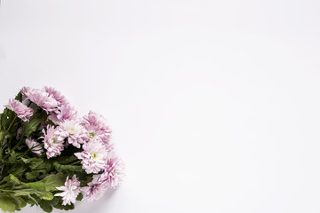 Floral pattern with several colorful flowers