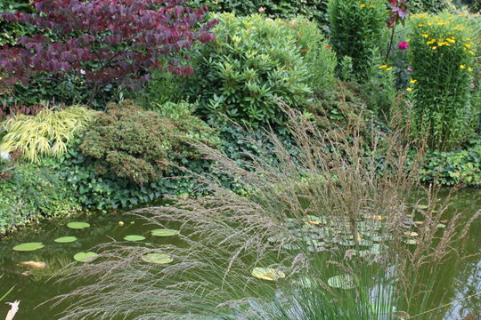 Gartenteich