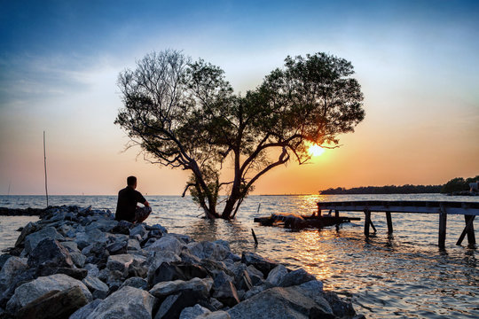 man in frustrated depression sitting alone on the rock dam extended into the sea and looking at tree in the shape of heart on sunset., the concept of lonely, sadness, depressed and broken heart.