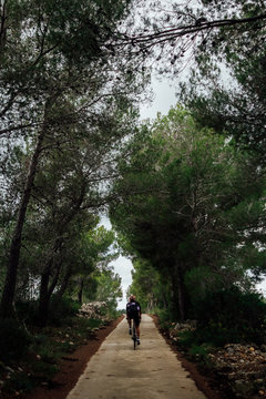 A cyclist on the forest alley 