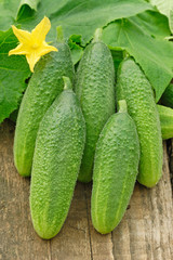 Cucumbers on old timber
