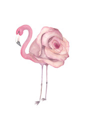 Watercolor exotic flamingo. Summer decoration print for wrapping, wallpaper, fabric, card © natikka