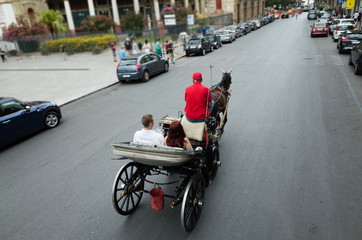 Horse-drawn carriage with tourists in Palermo, Sicily