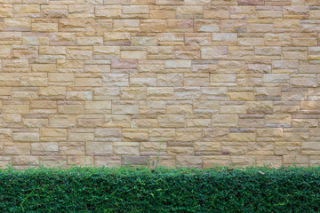 Brick wall background with green leaf floor