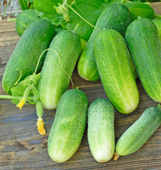 Harvest of cucumbers on old timber