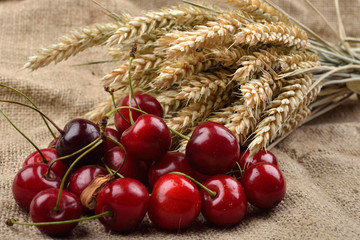 Fresh red and tasty cherries on jude background, with bunch of wheat behind them. Concept of healthy food, bio from countryside
