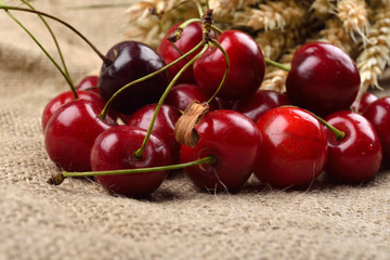 Fresh red and tasty cherries on jude background, with bunch of wheat behind them. Concept of healthy food, bio from countryside