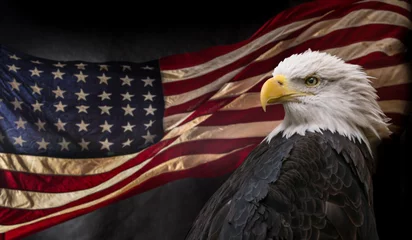 Peel and stick wall murals Eagle American Bald Eagle with Flag.