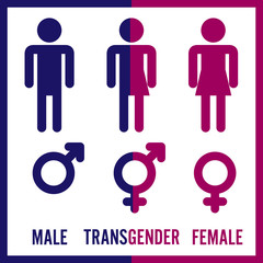 Transgender Male. Set Of Symbols. Isolated On White Background. Unisex. Stylized Human Icon Silhouettes. Stock Vector Illustration.