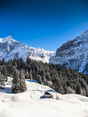 Schweiz, Kanton Bern, Berner Oberland, Interlaken-Oberhasli, Wetterhorn, Winterlandschaft  in...