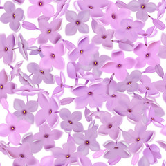 Seamless pattern with lilac flowers