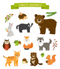 Collection  of animals