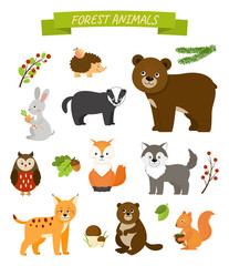 Fototapeta premium Collection of animals