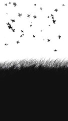 grassland © Tomasz