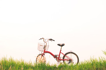 Obraz premium Vintage of bicycle on grass field, selective and soft focus