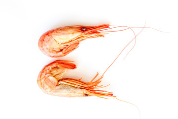shrimps isolated on white. Steamed  shrimp