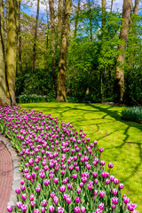 Obraz premium spring landscape. Spring nature background. beautiful garden