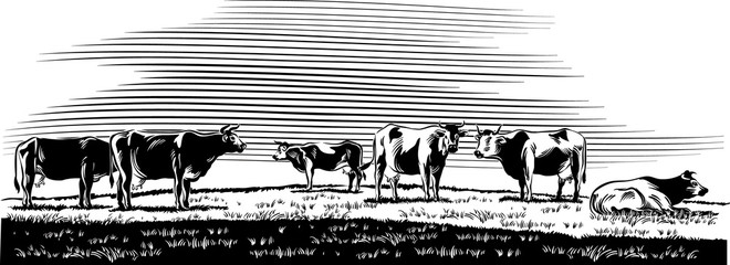 Cows grazing in a meadow. © serghi8