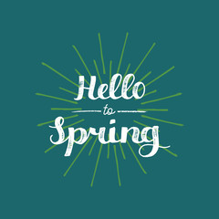 Vector hand lettering inspirational typography poster. Say hello to spring on ray pattern background.