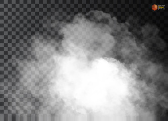 Fog or smoke isolated transparent special effect. White vector cloudiness, mist smog background. illustration