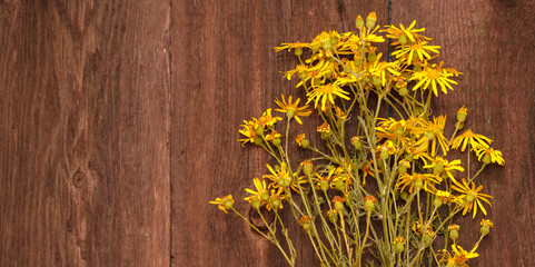 yellow flowers on a wooden background