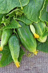 Cucumbers on old timber with leaves