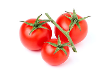 Tomatoes on a branch close up.