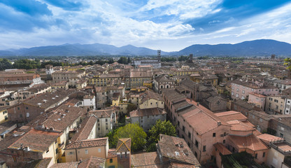 Fototapeta premium View from Torre Guinigi to the old town of Lucca, Tuscany, Italy