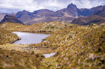 Fototapeta na wymiar Landscape with lake in Cajas National Park, Cuenca, Ecuador