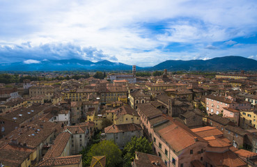 Fototapeta premium View from Torre Guinigi to the old town of Lucca, Tuscany, Italy