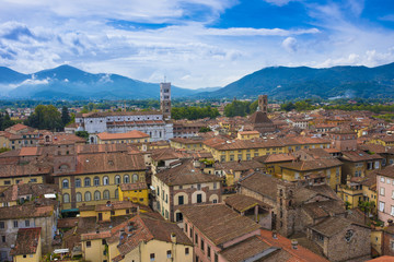 Fototapeta premium View from Torre Guinigi to the old town of Lucca, Tuscany, Italy