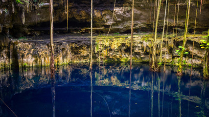 Cenote San Lorenzo Oxman near Valladolid, Mexico. a lovely cenote with deep turquoise waters