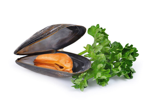 Boiled mussel isolated on a white background.
