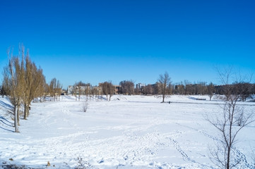 winter landscape