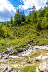 Fototapeta na wymiar Ein Wildbach fließt entlang einer wilden Landschaft