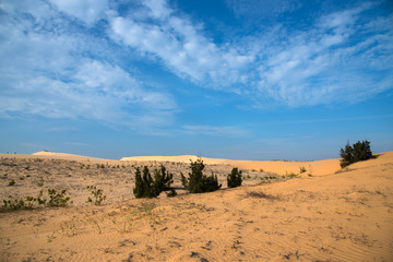 Fototapeta na wymiar White sand dune on blue sky background at Mui-Ne city, Vietnam