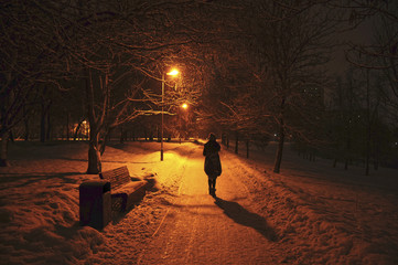 Прогулка в снежном парке.