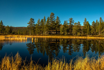 Mirror lake