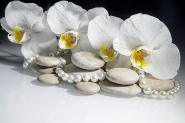 white orchids and pearls lie on the rocks