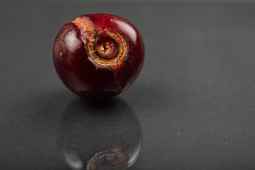 Close up of image of rotten red cherry fruit on reflective black background. Selective focus.