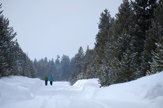 People Walking Through Snow in Mountain Wilderness Pine Forest