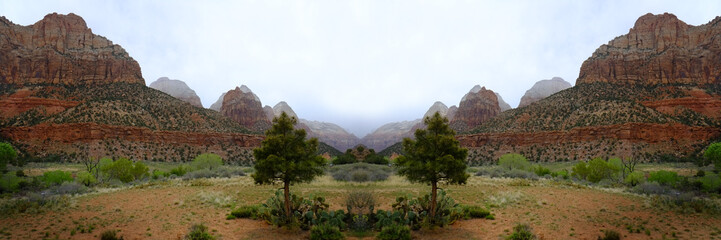 Zions National Park Mountains Rainstorm Trees Foliage