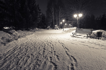 Alley in the park with falling snow at night