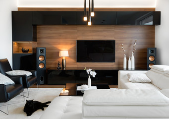 Modern living room with stereo speakers - obrazy, fototapety, plakaty