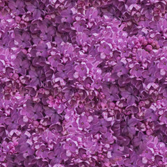 Seamless pattern of lilac